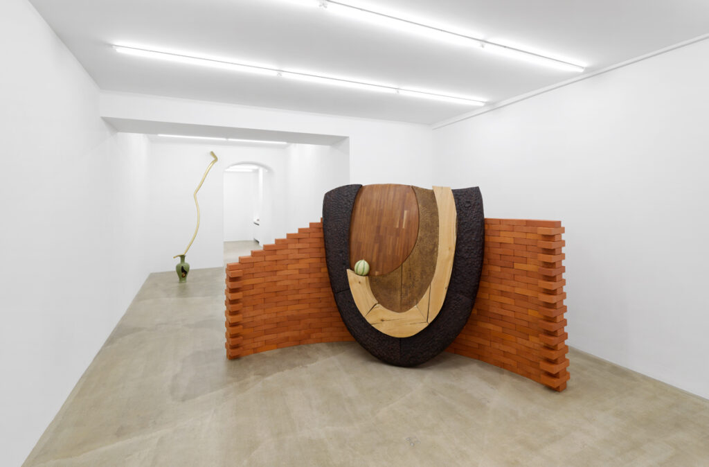 Wei Libo, Homemade, 2025, exhibition view, Sans titre, Paris. © Aurélien Mole (1)