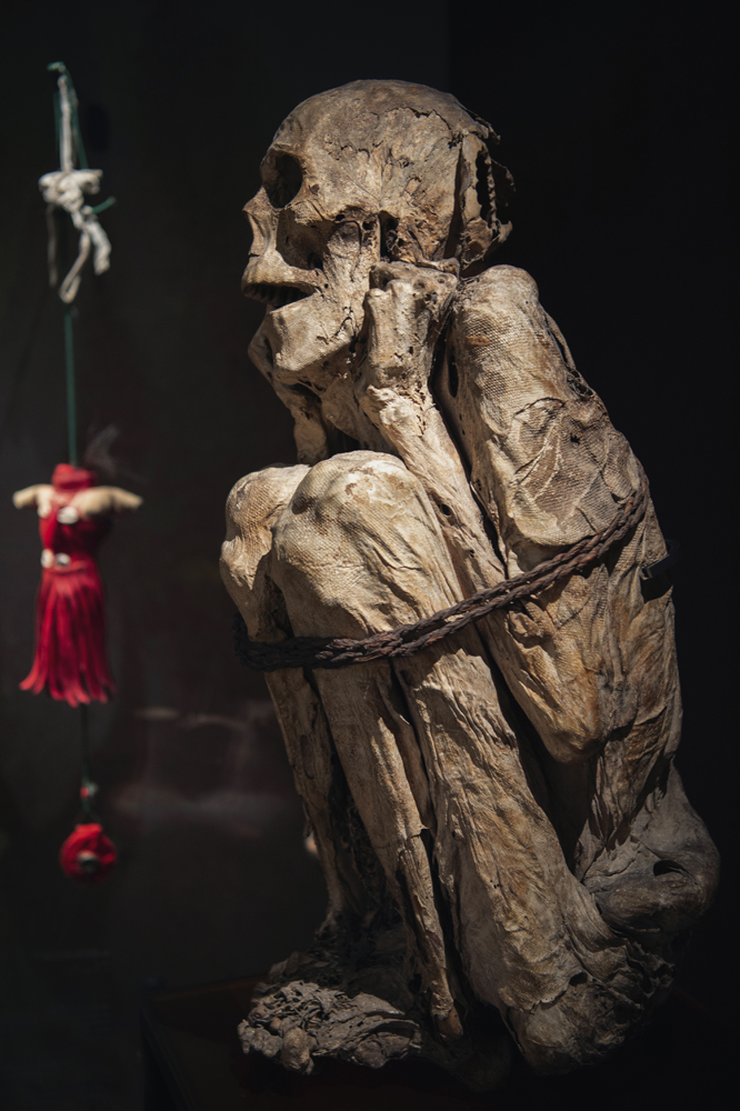 L'homme Chachapoya dans l'exposition sur les momies au musée de l'homme à Paris