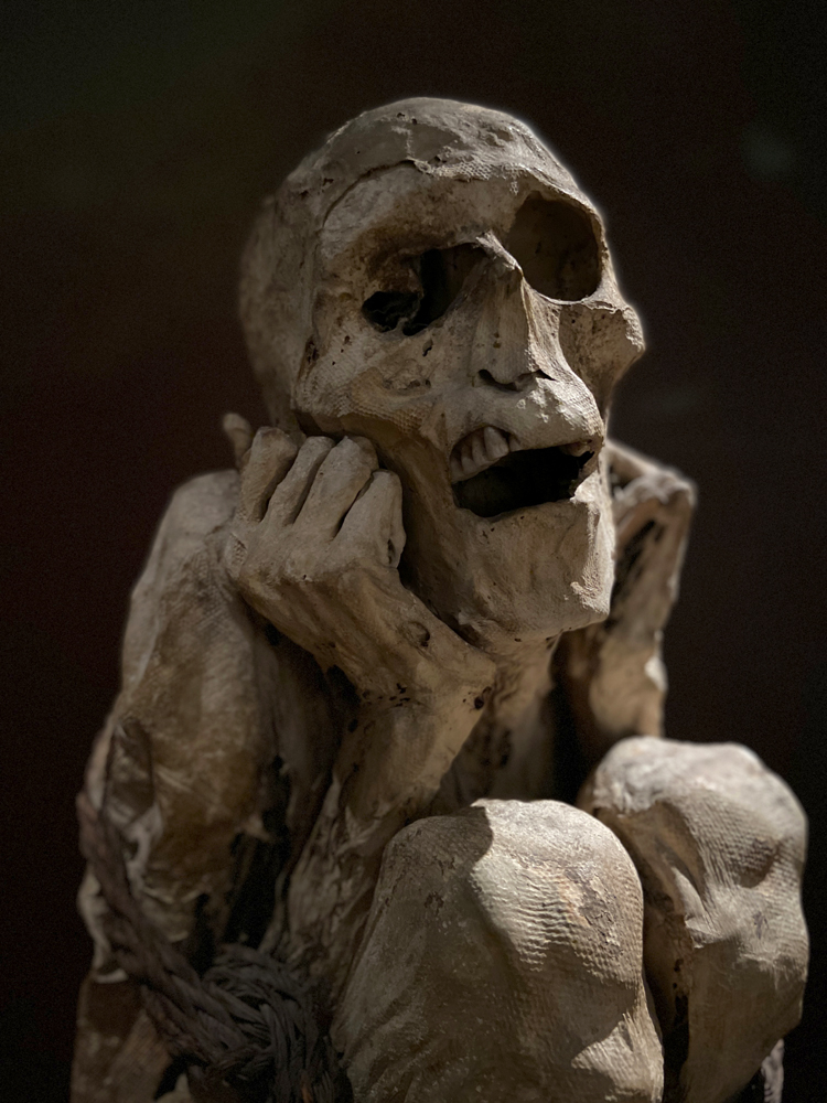 L'homme Chachapoya dans l'exposition sur les momies au musée de l'homme à Paris