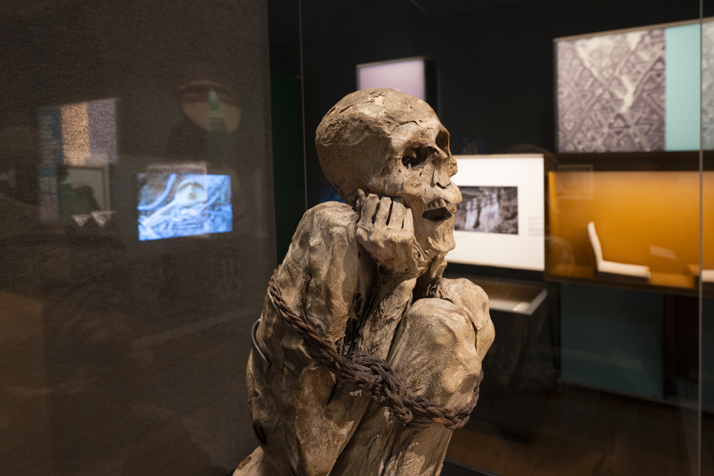 L'homme Chachapoya dans l'exposition sur les momies au musée de l'homme à Paris