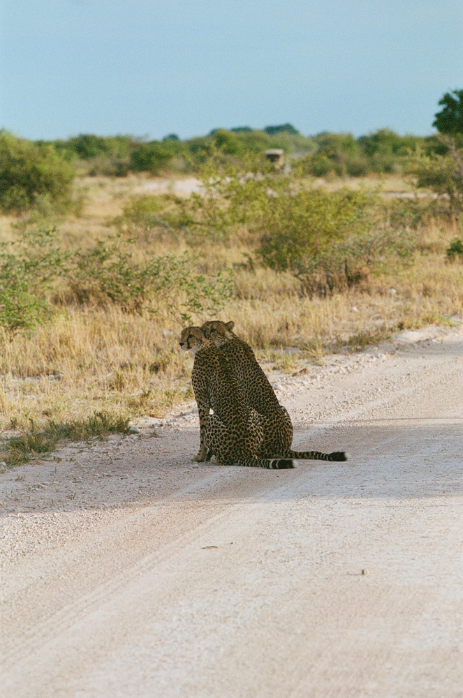 idées de voyages originales avec Le Therapist