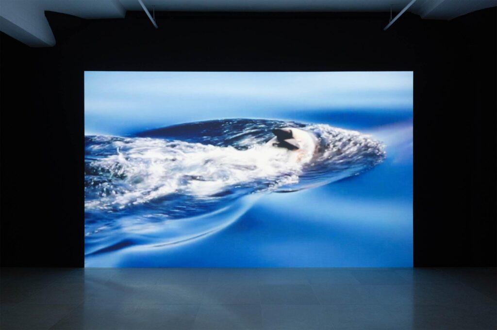 œuvre The Solemn and Dignified Burial Befitting My Beloved for All Seasons (2025) de Dominique Knowles