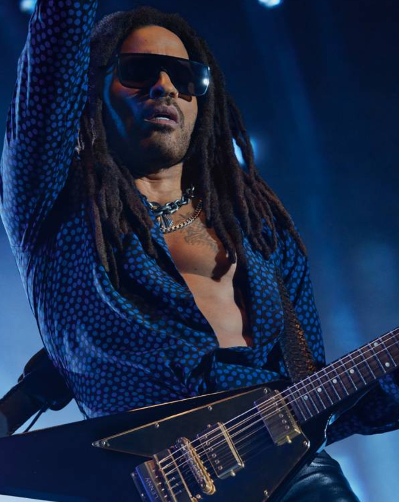 Le chanteur Lenny Kravitz.