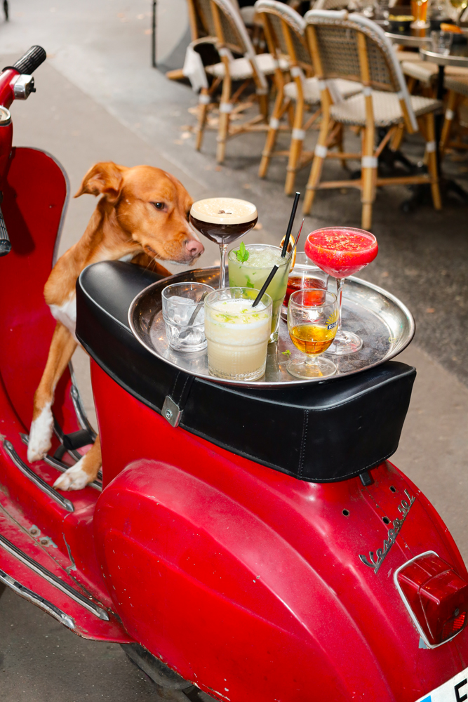 Le restaurant Sauvageon, Paris 19e.
