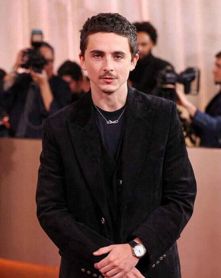 Timothée Chalamet lors de la 83e cérémonie annuelle des Golden Globes le 11 janvier 2026 à Beverly Hills, en Californie. © JC Olivera/2026GG/Penske Media via Getty Images.