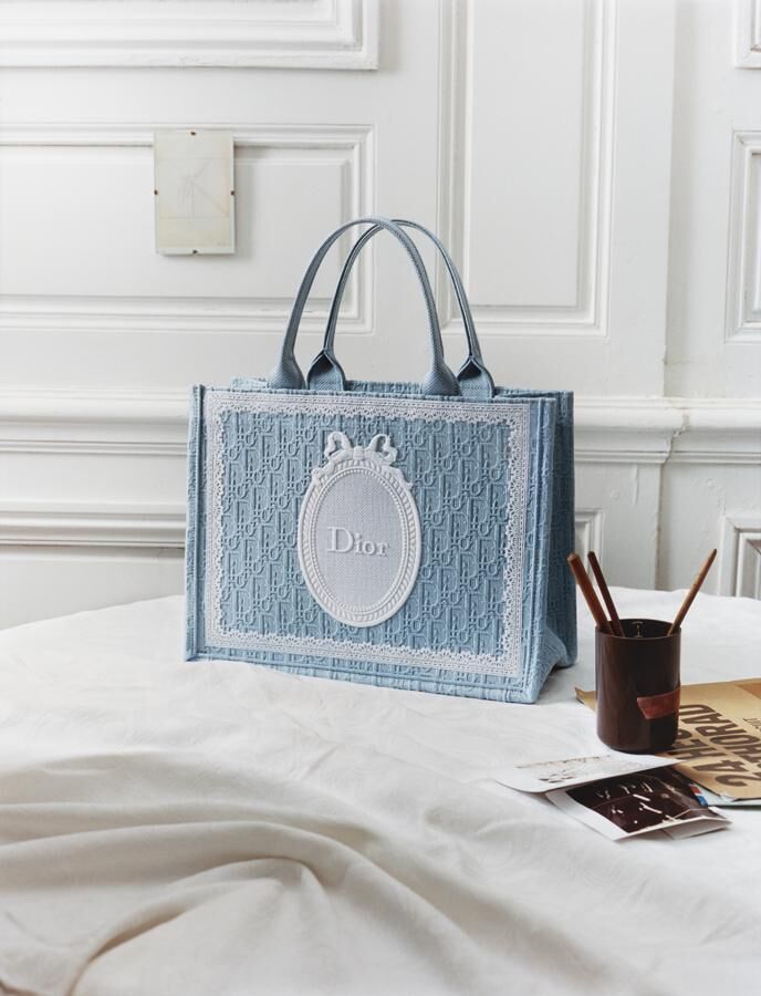 sac dior book tote medaillon par jonathan Anderson
