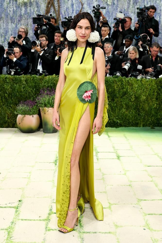 Alexa Chung en Dior.