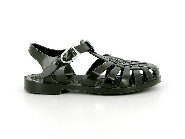 Méduses soleil Kaki Méduse