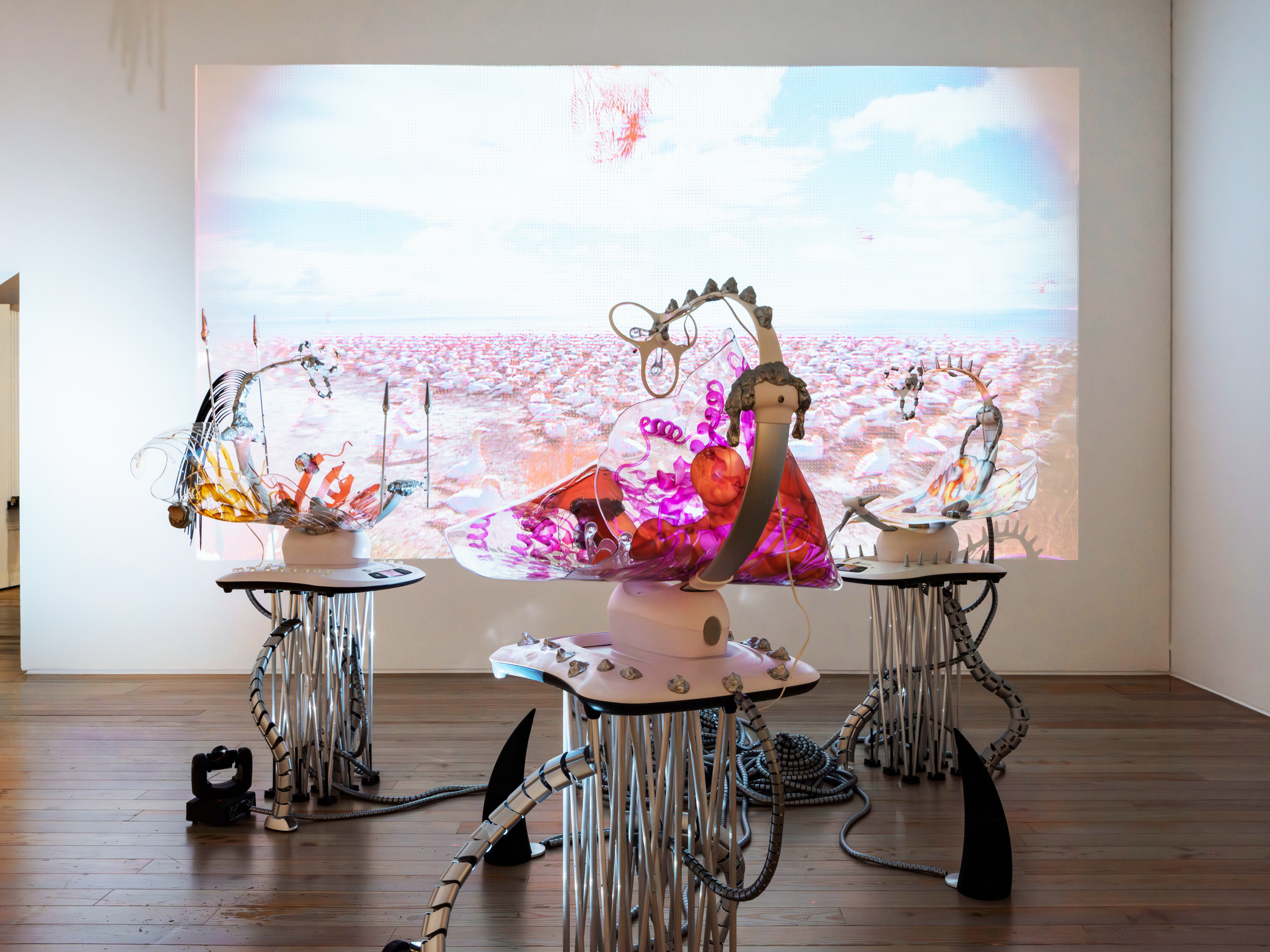 Installation. Art contemporain. Art Basel. Katja Novitskova, Pattern of Activation (Mamaroo nursery, dawn chorus) (2017)