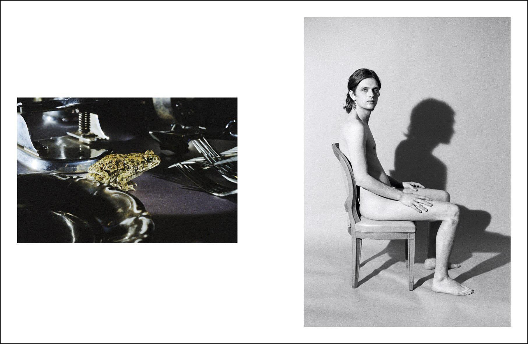 Camille Vivier, Frog #1 et Hugo #1.