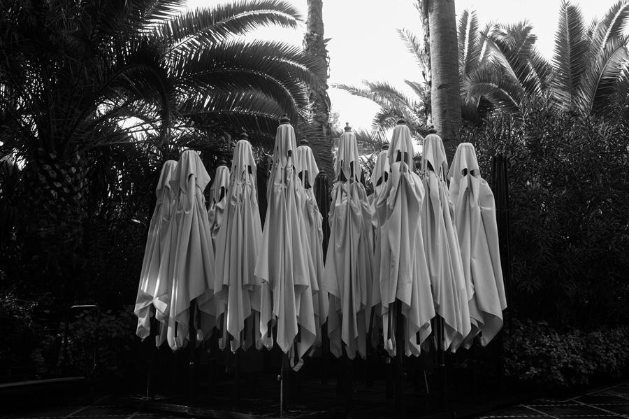 Park Chan-wook, Faces 16 (2013)