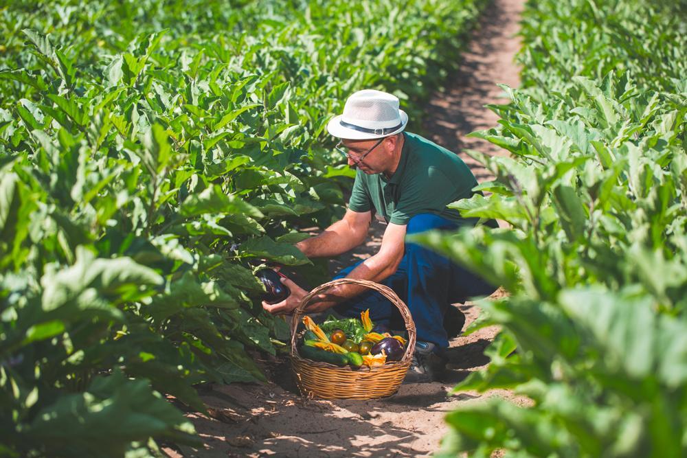 Un agriculteur d’une ferme pédagogique en Sardaigne.